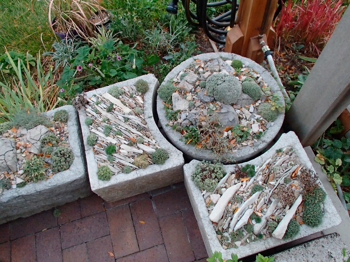 Клумба чешская скалка