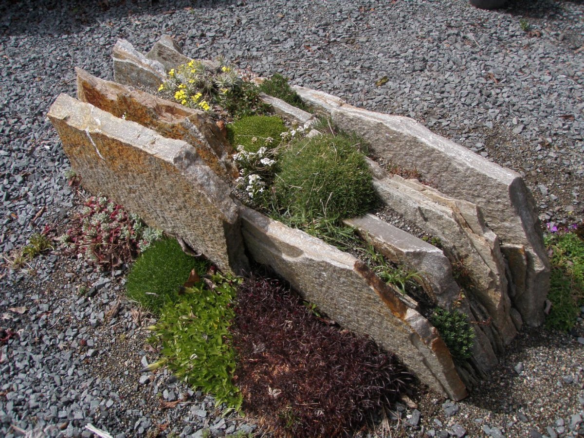 Рокарий чешская скалка