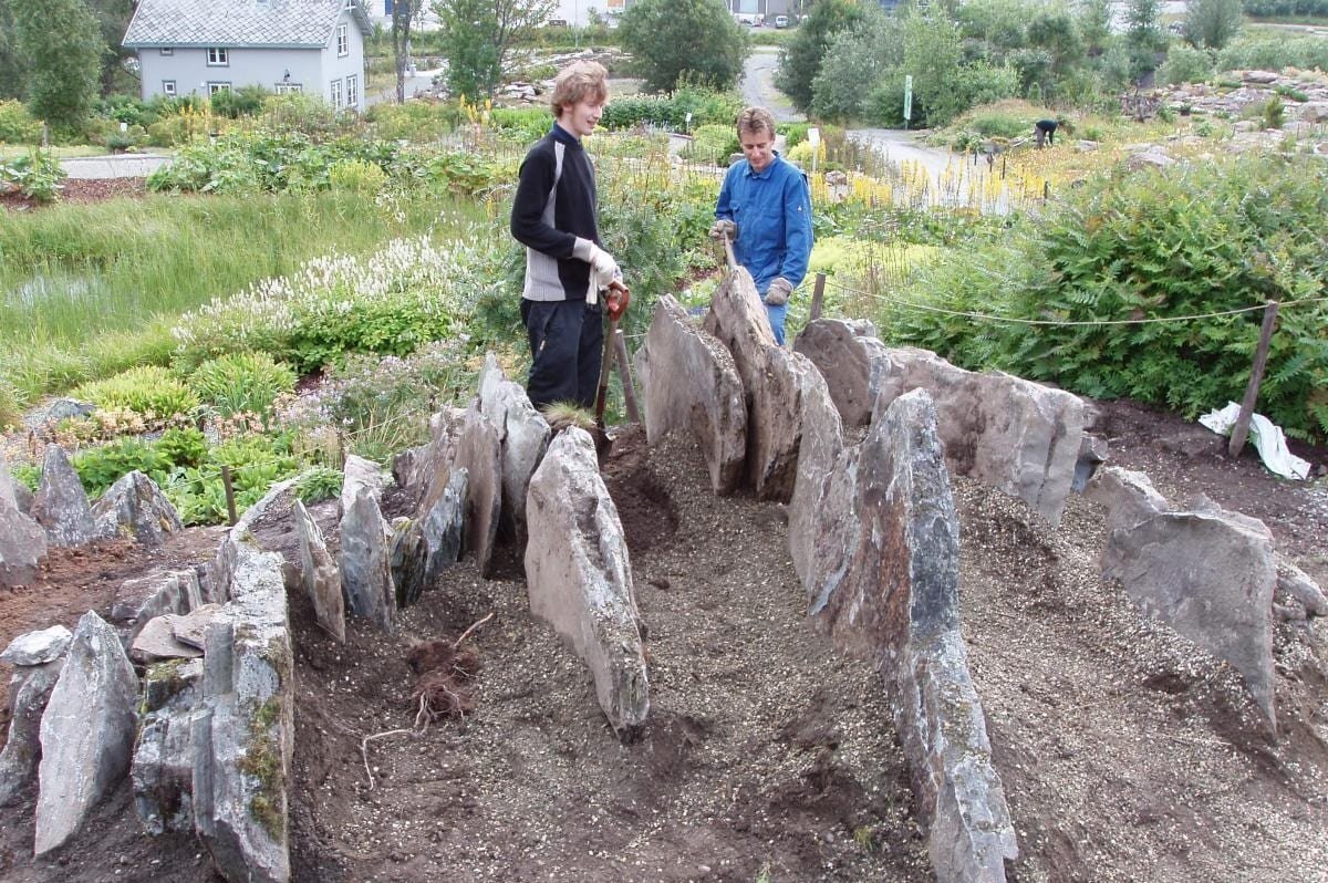 Чешская скалка альпинарий