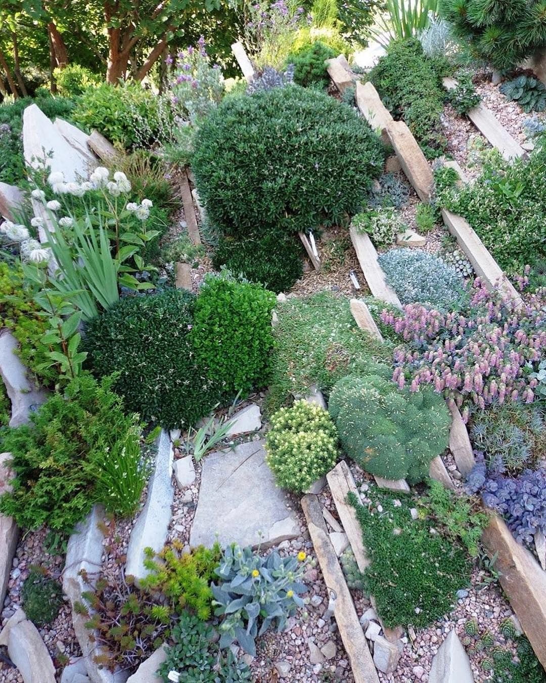 Рокарий чешская Альпийская горка