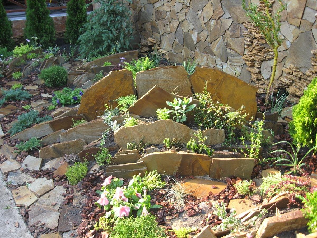 Кизильник на альпийской Горке