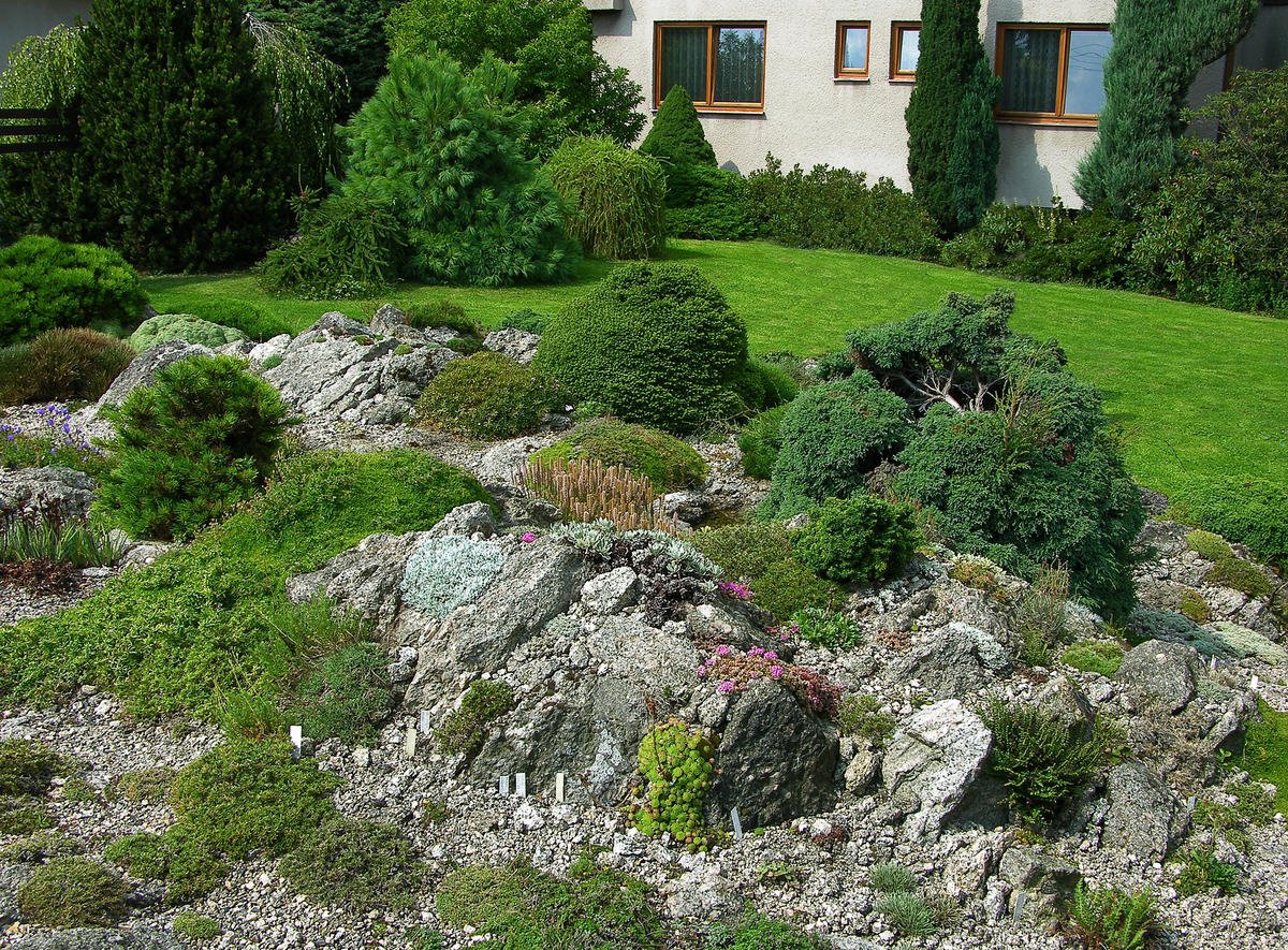 Альпийская горка скальный Утес