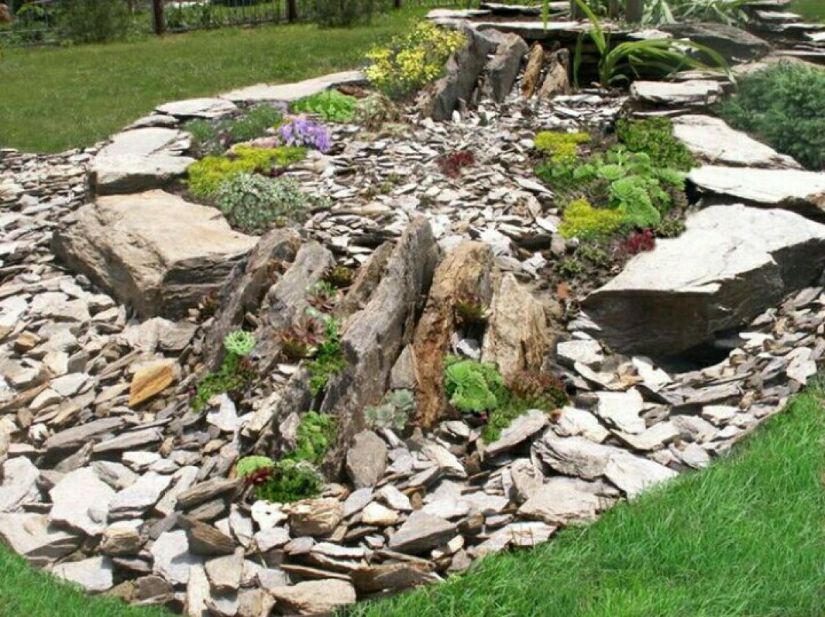 Каменистый сад плитняк