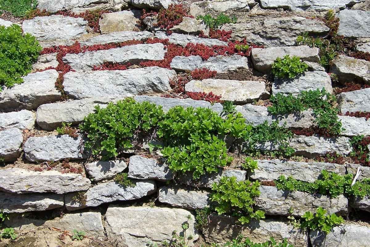 Альпийская горка с подпорными стенками