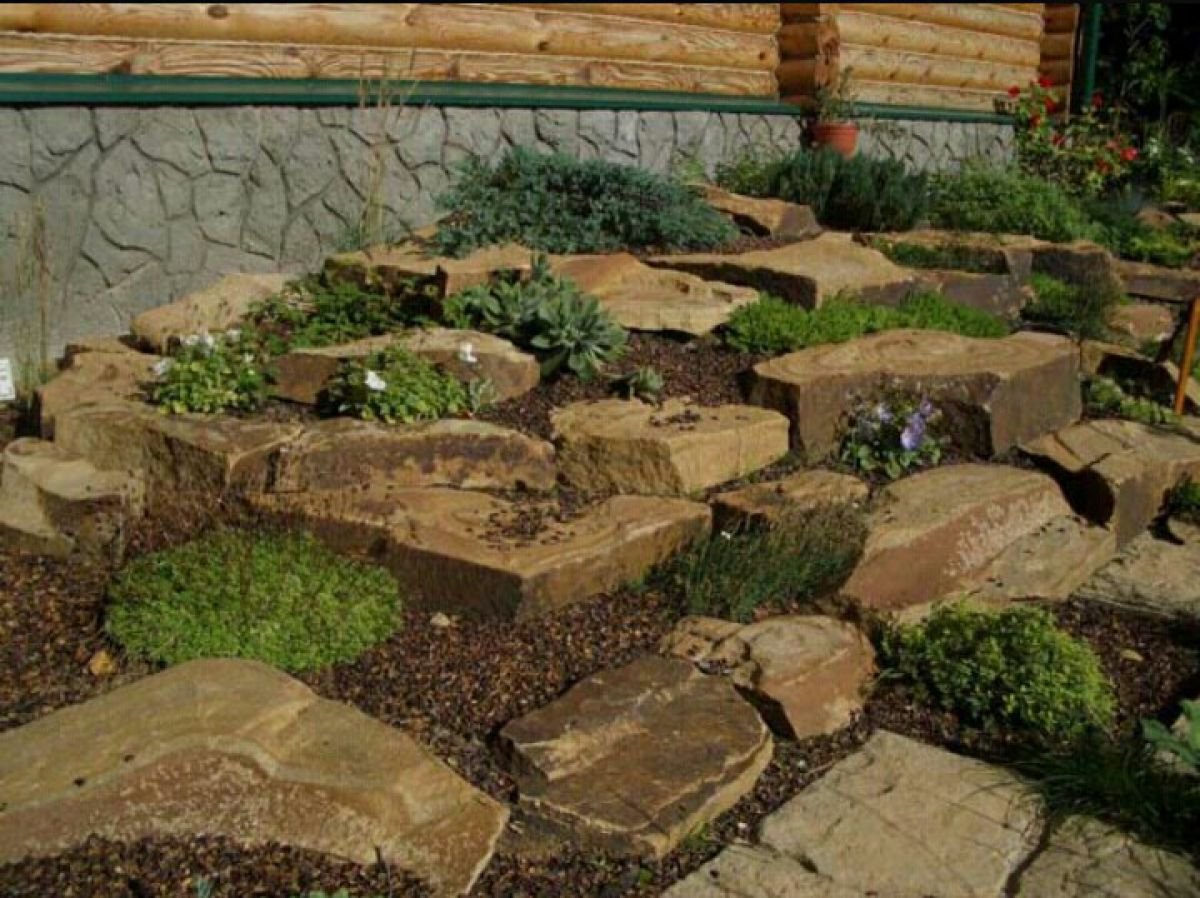 Каменистый сад плитняк