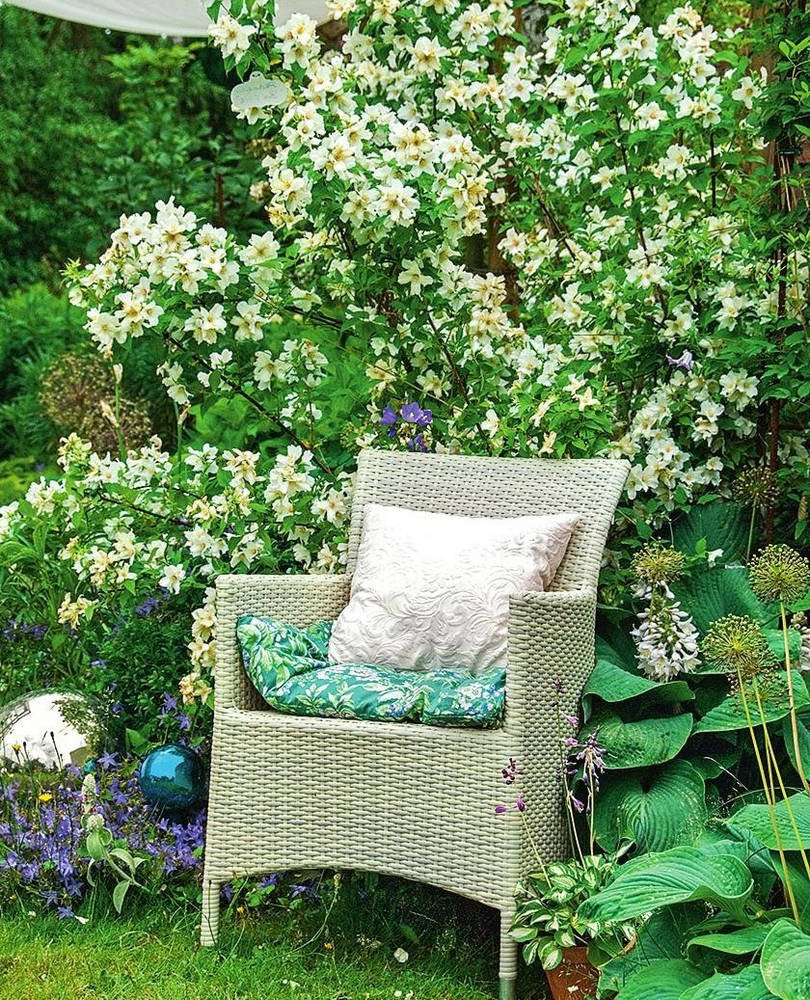 Качели чубушник