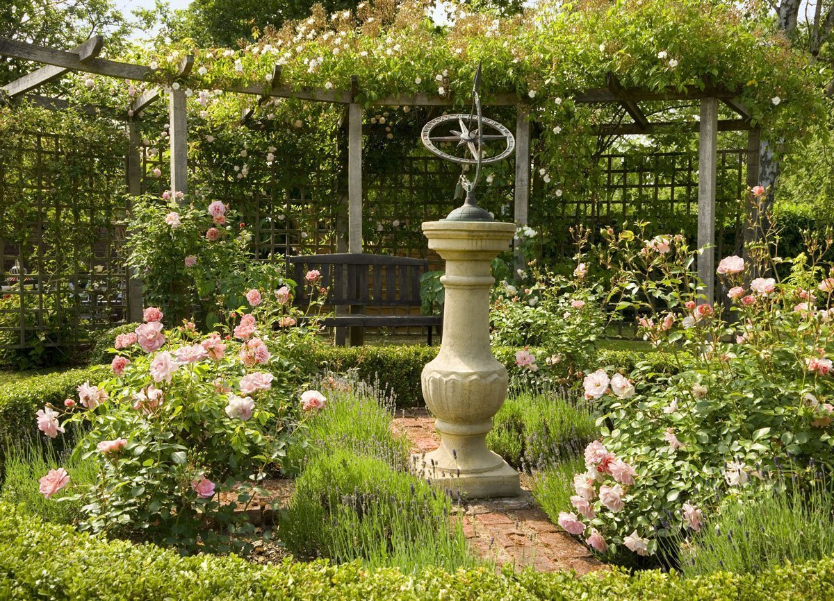 Плетистые розы сады Англии