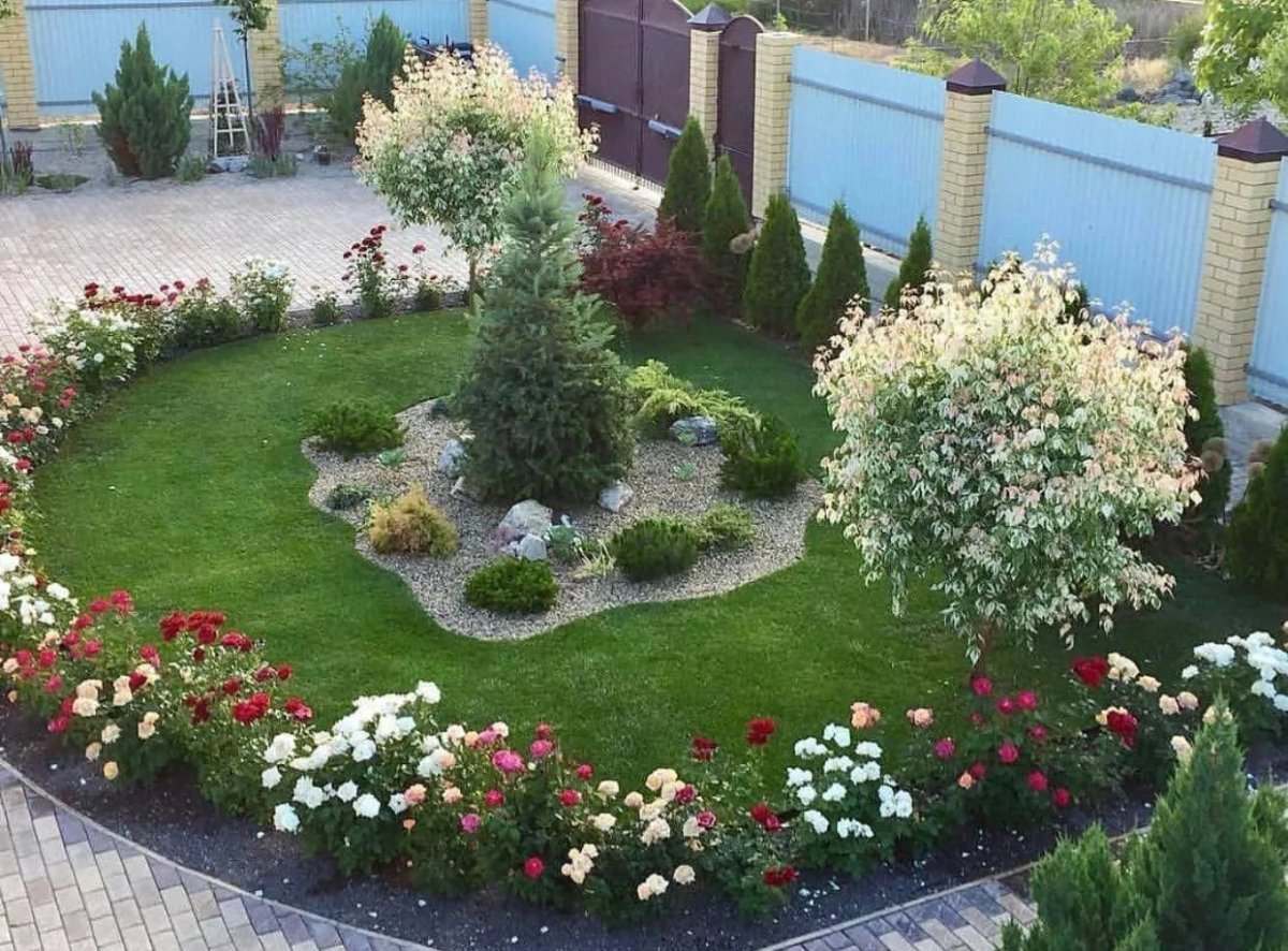 Розы и хвойники в ландшафтном