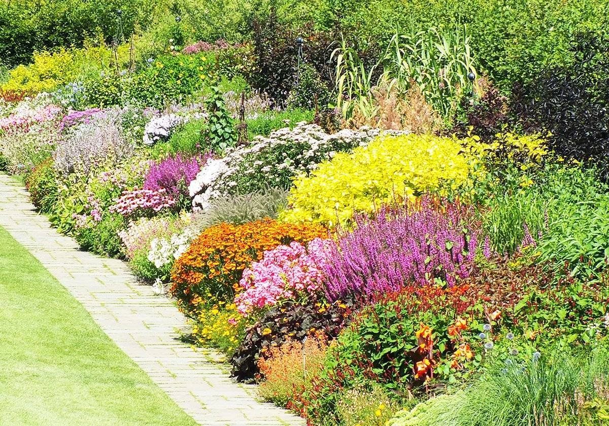 Пейзажный миксбордер