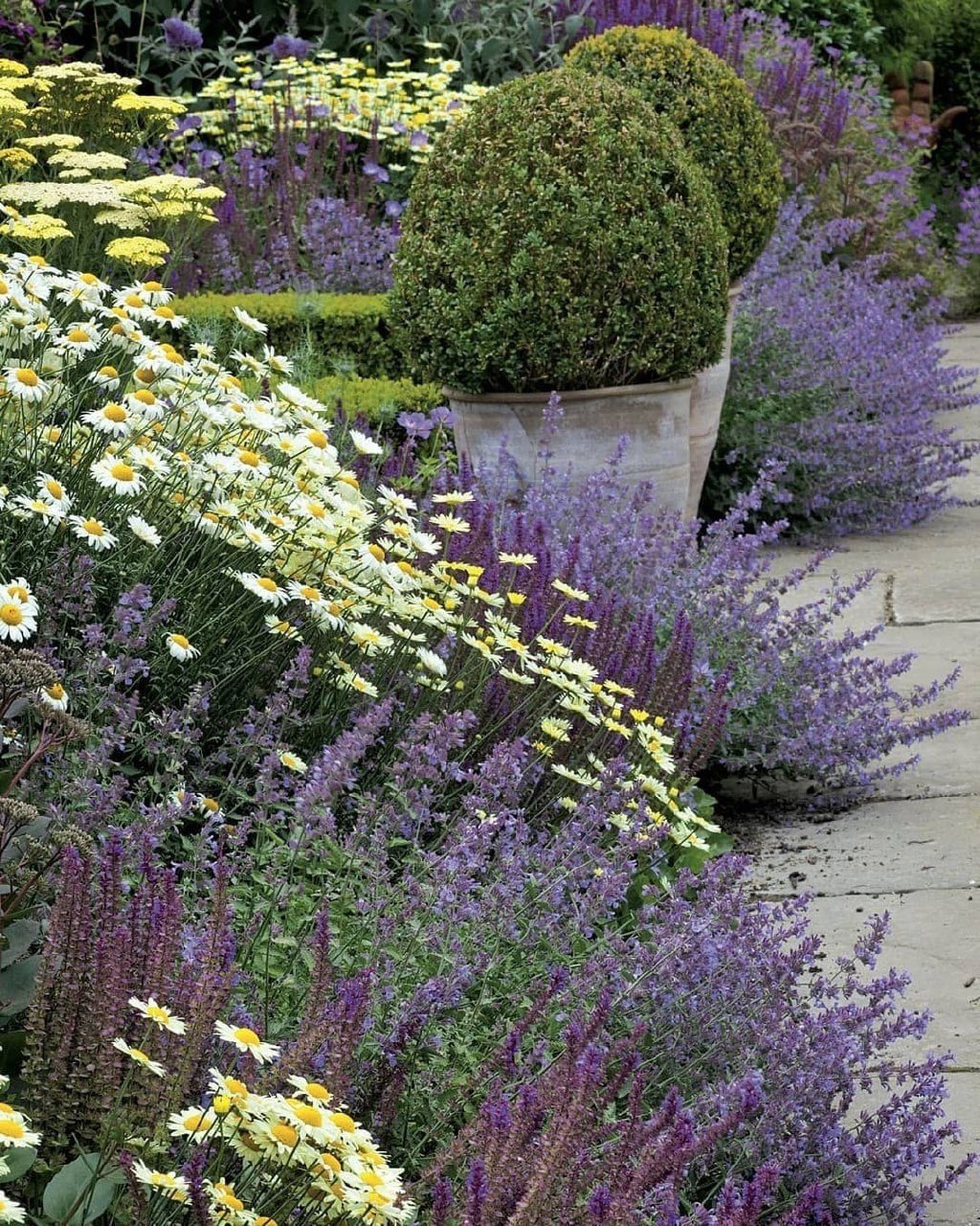 Миксбордер с лавандой и шалфеем