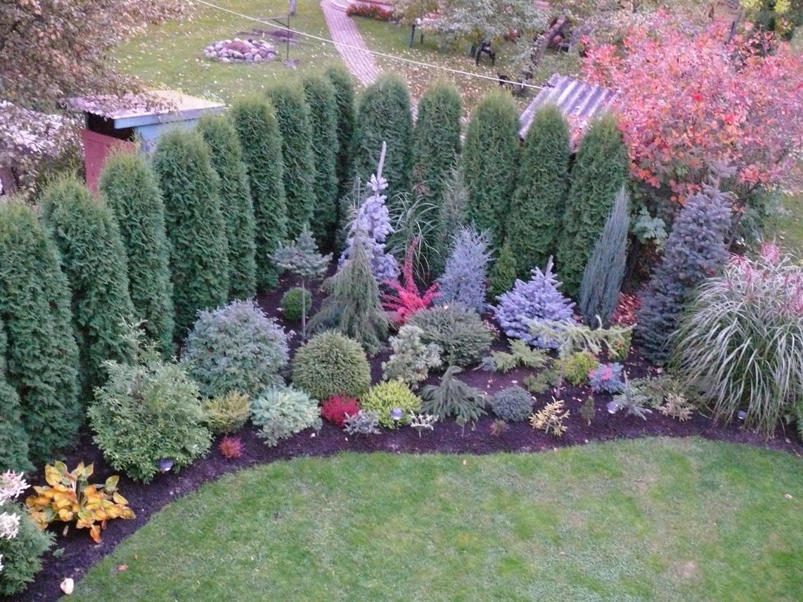 Вереск в миксбордере