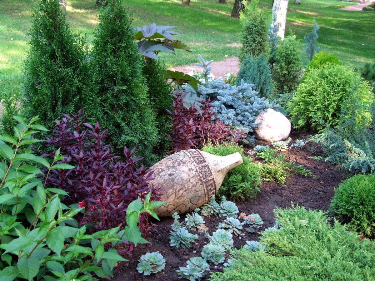 Клумба гортензия можжевельник Хоста