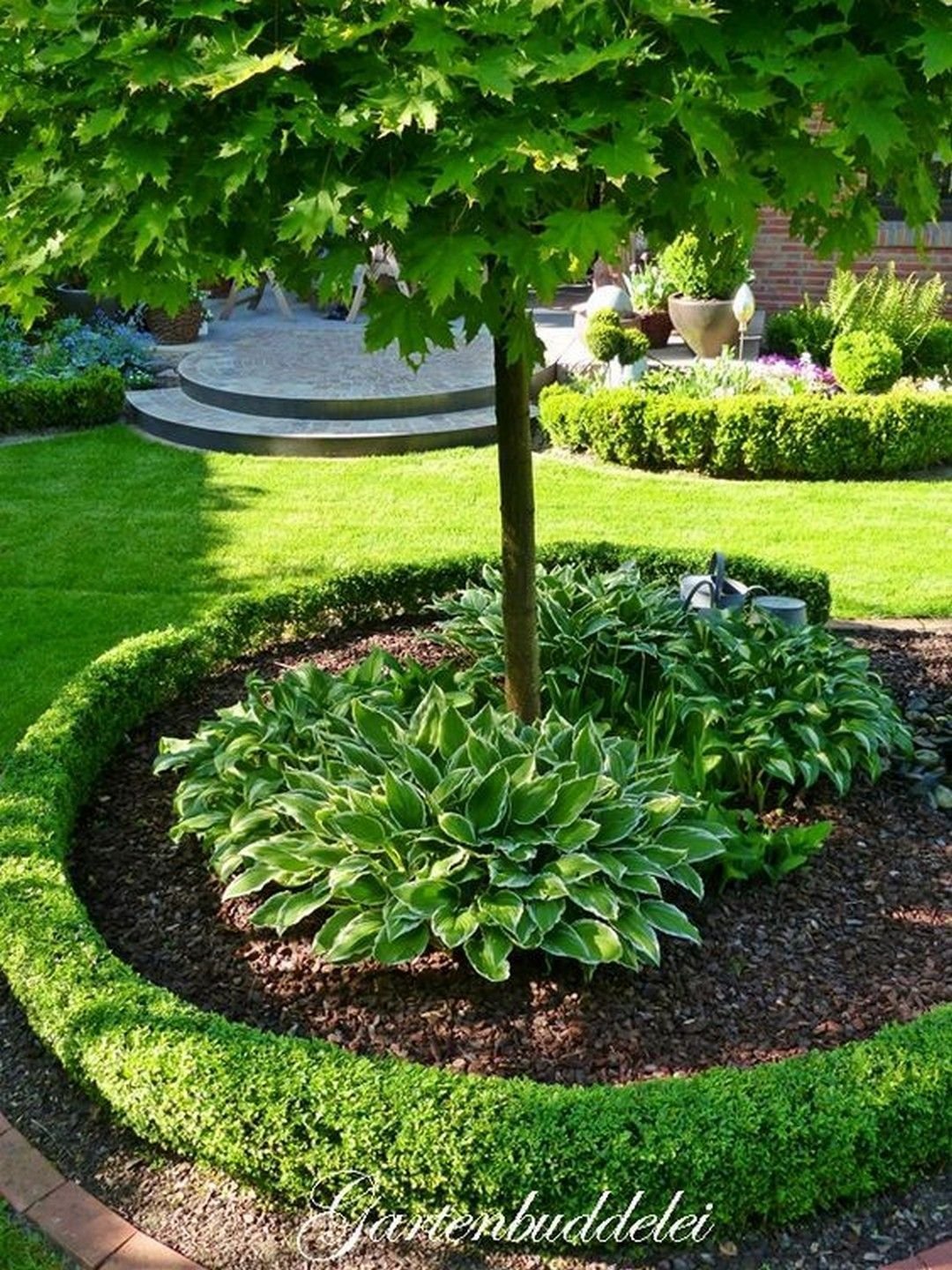 Приствольный круг яблони