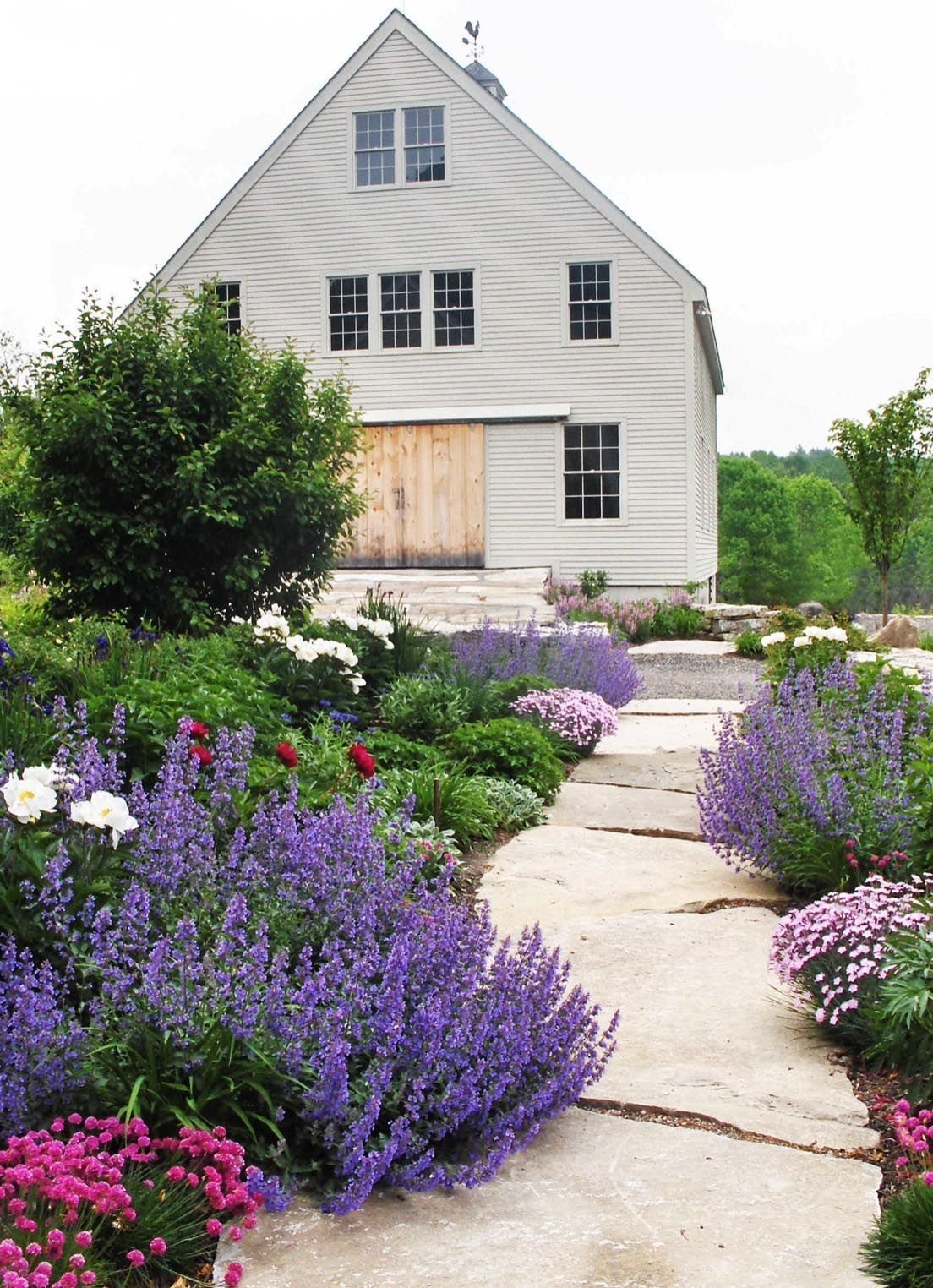 Самшит клумба Лаванда