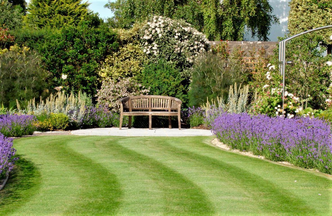 Миксбордер с самшитом и лавандой