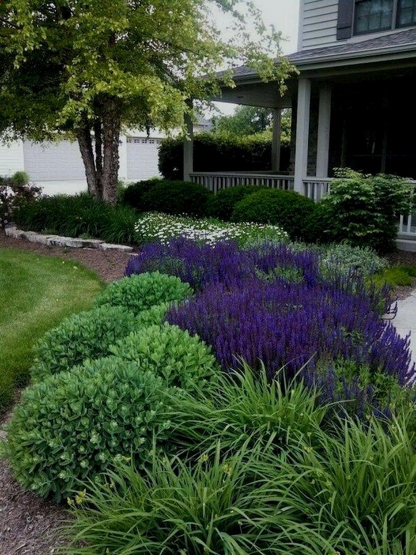 Миксбордер с котовником и шалфеем