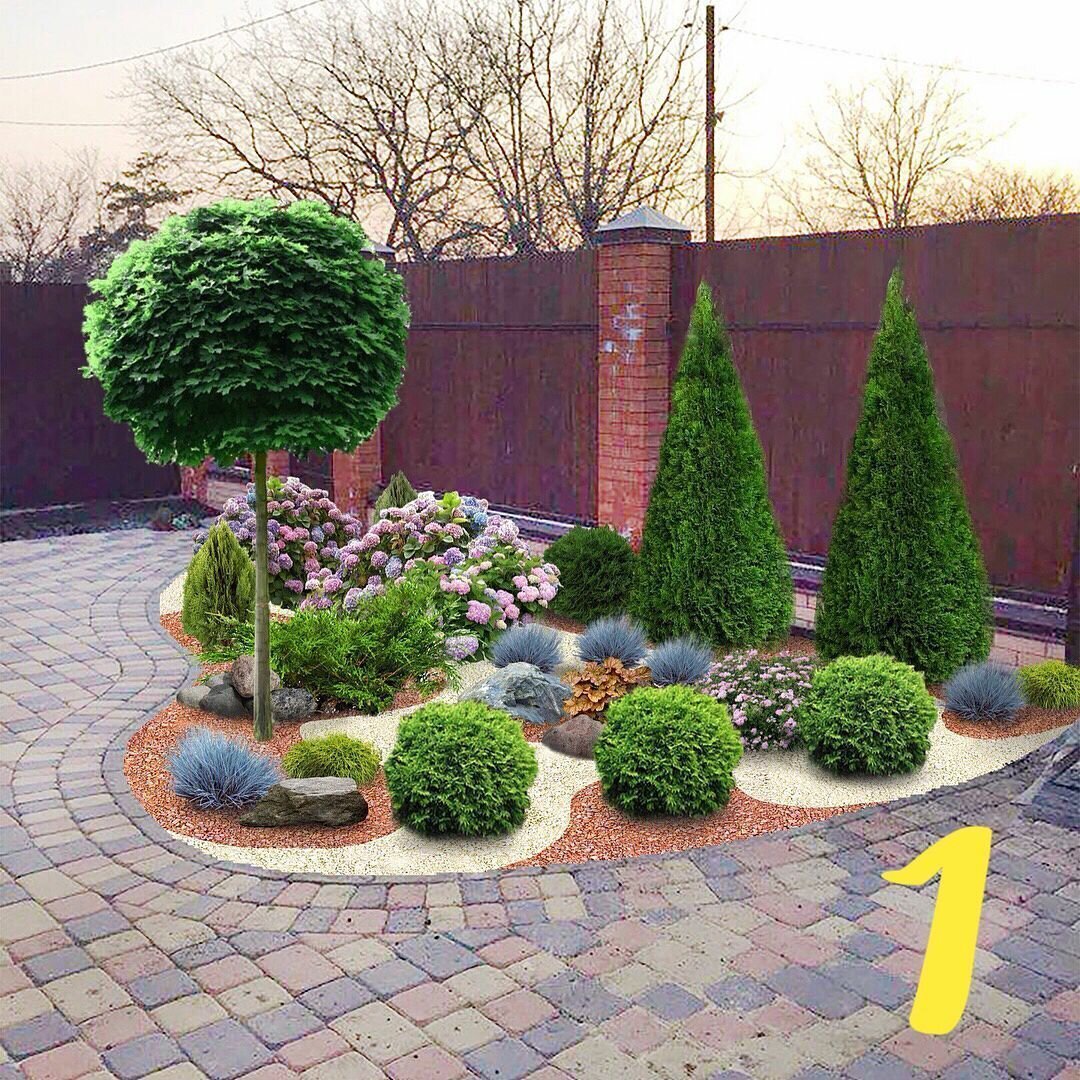 Туя Смарагд и Даника в ландшафте