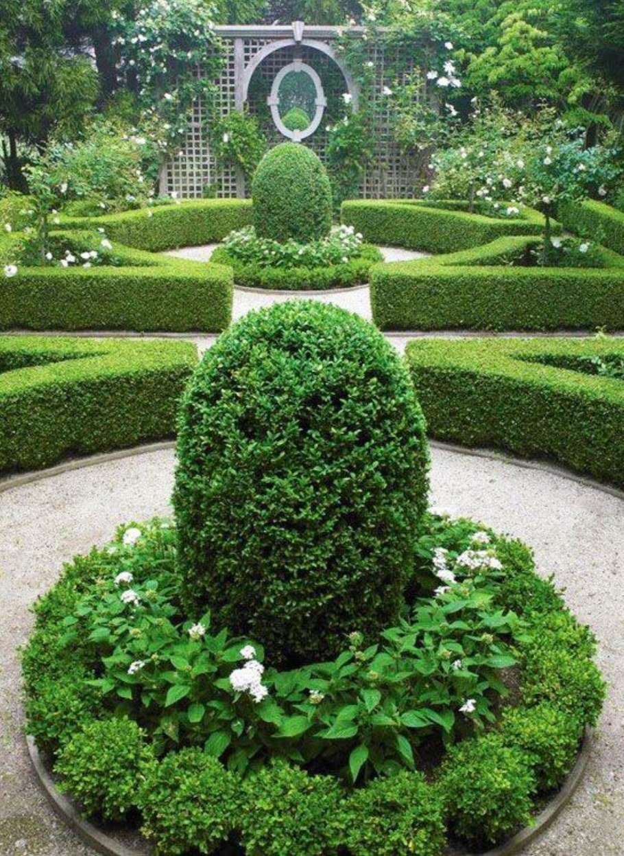 Самшит в Версале