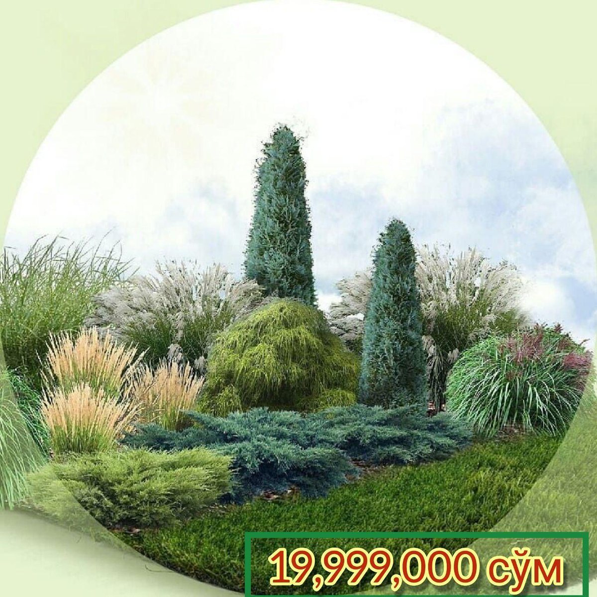 Миксбордер с можжевельником и барбарисом