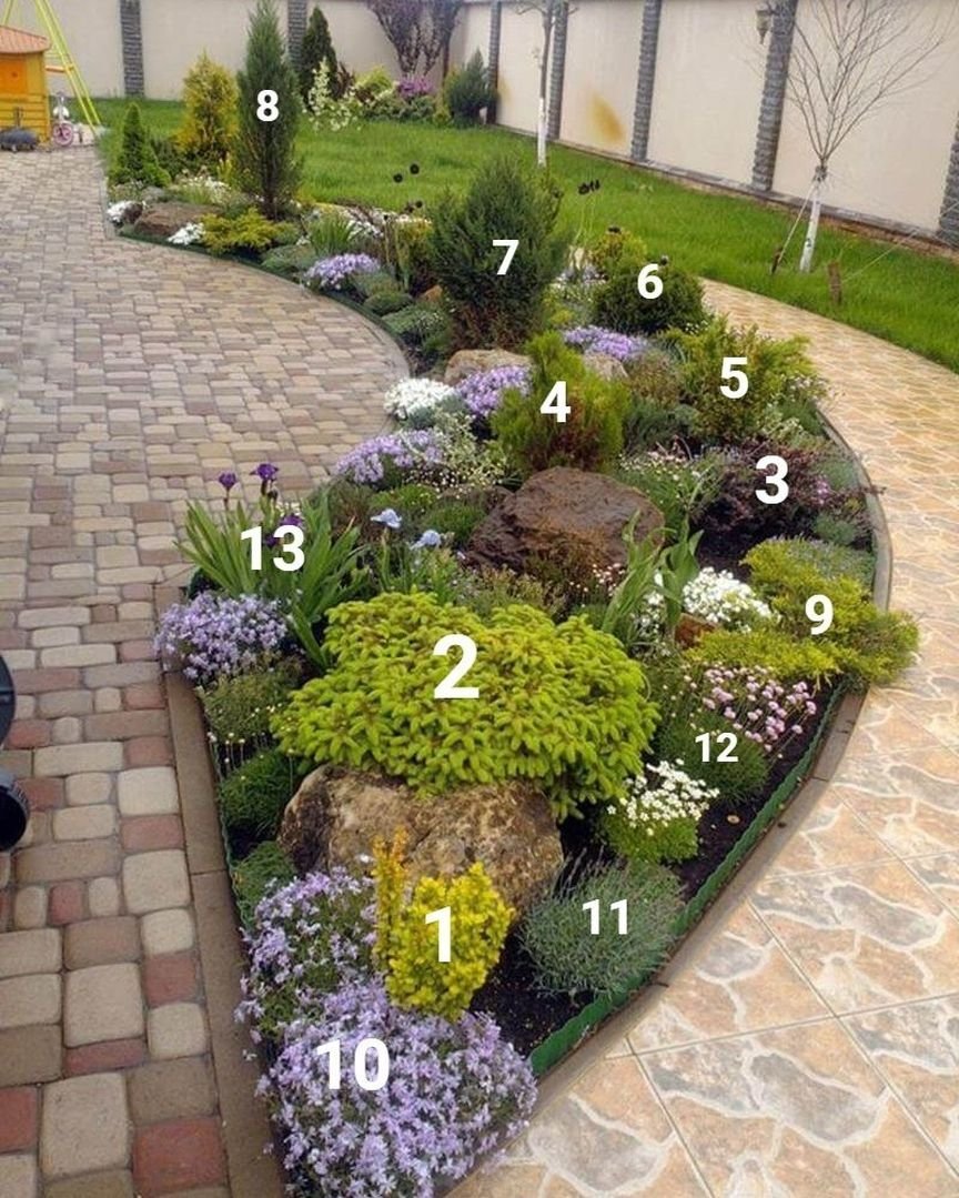 Рокарий- Альпийская лужайка