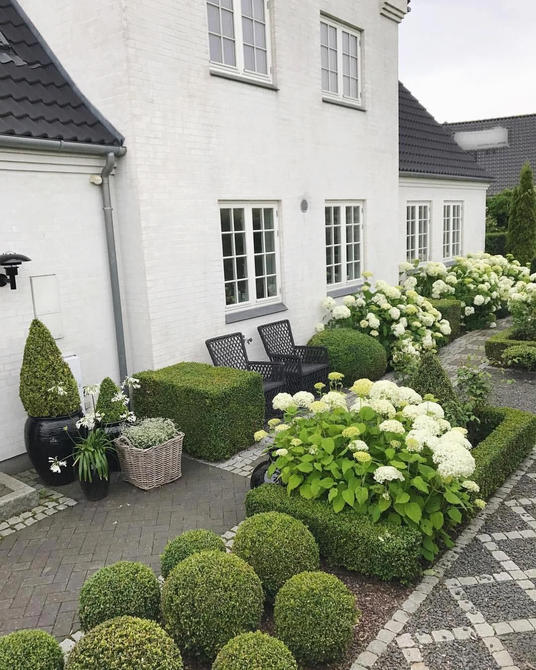 Туя Даника в ландшафтном