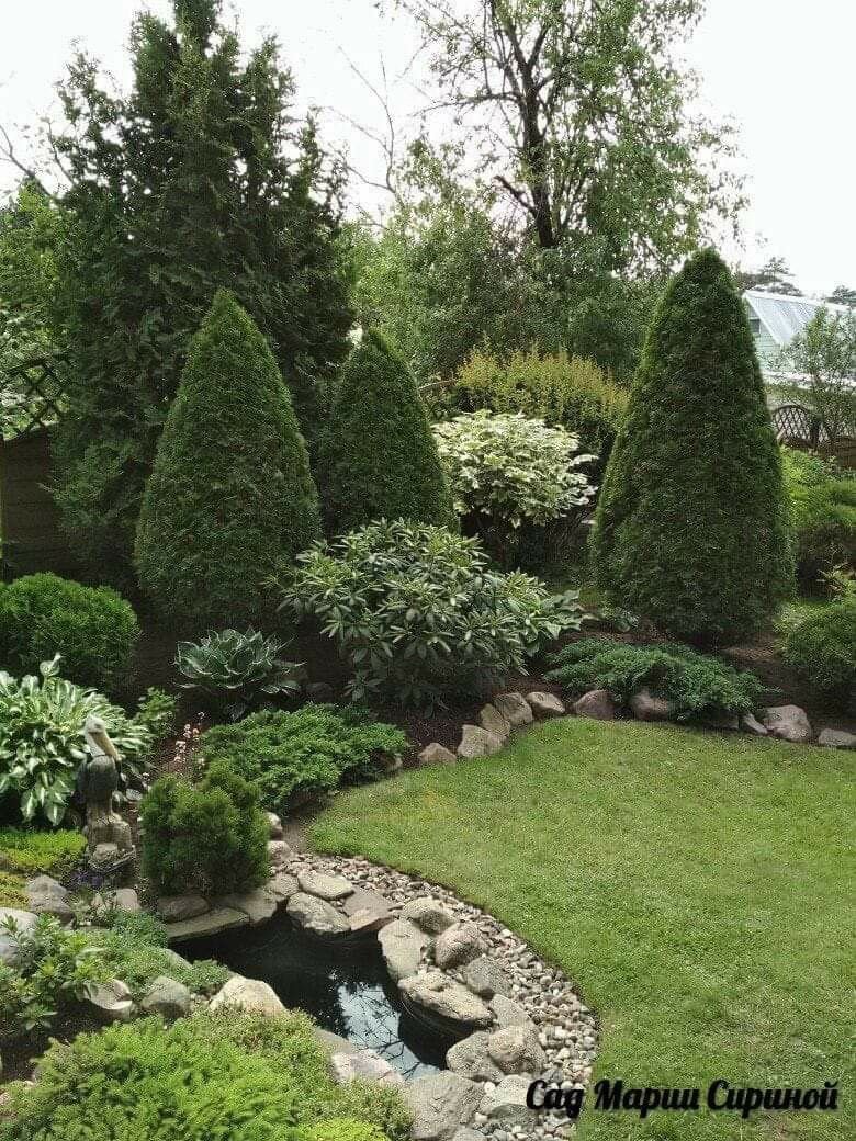 Можжевельник Империал Гарден