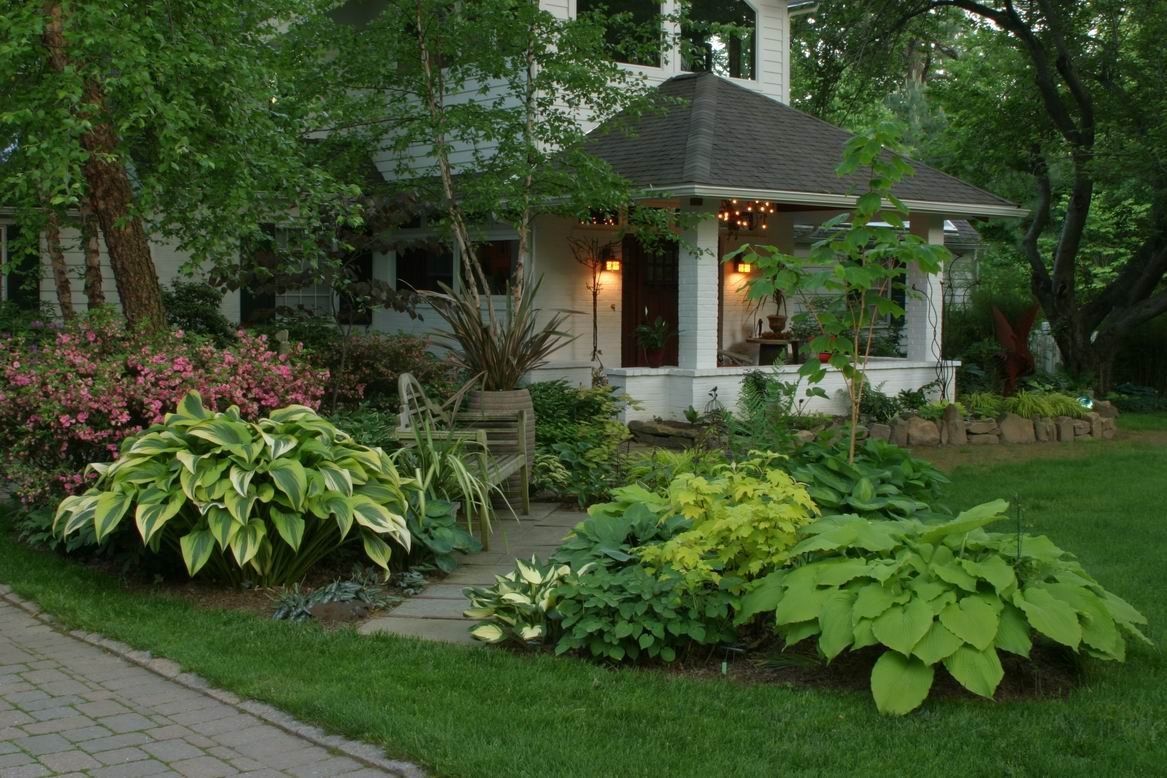 Hosta Garden Landscape