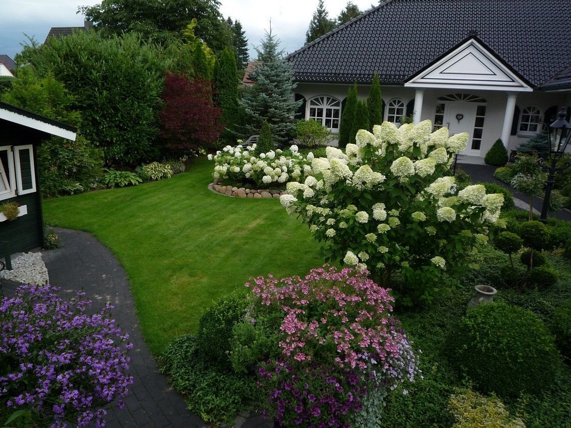 Миксбордер сирень Палибин