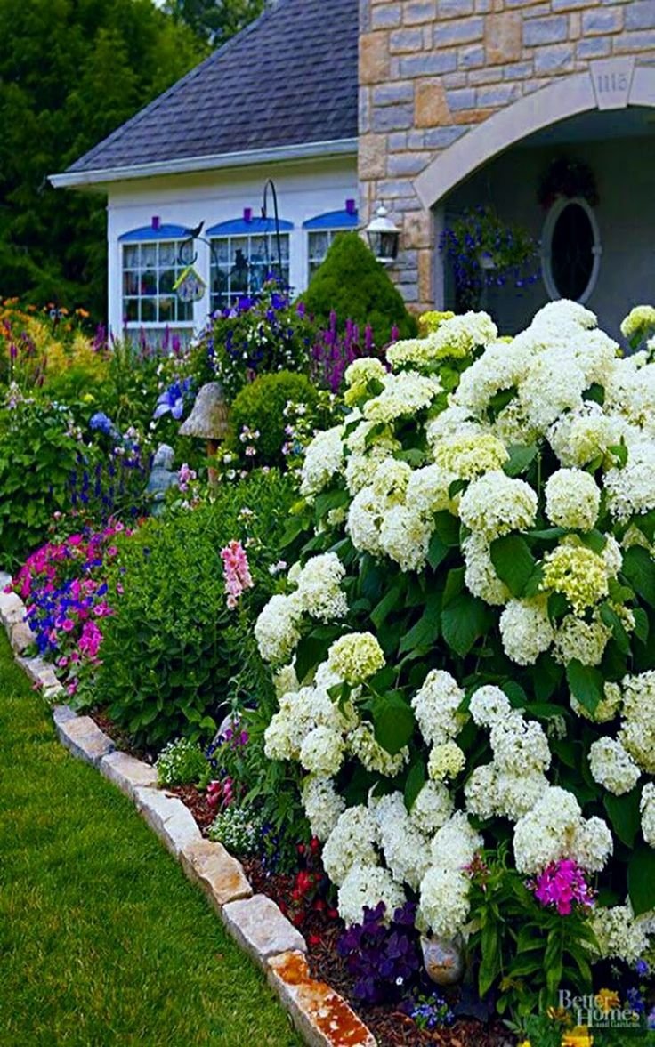 Гортензия Анабель