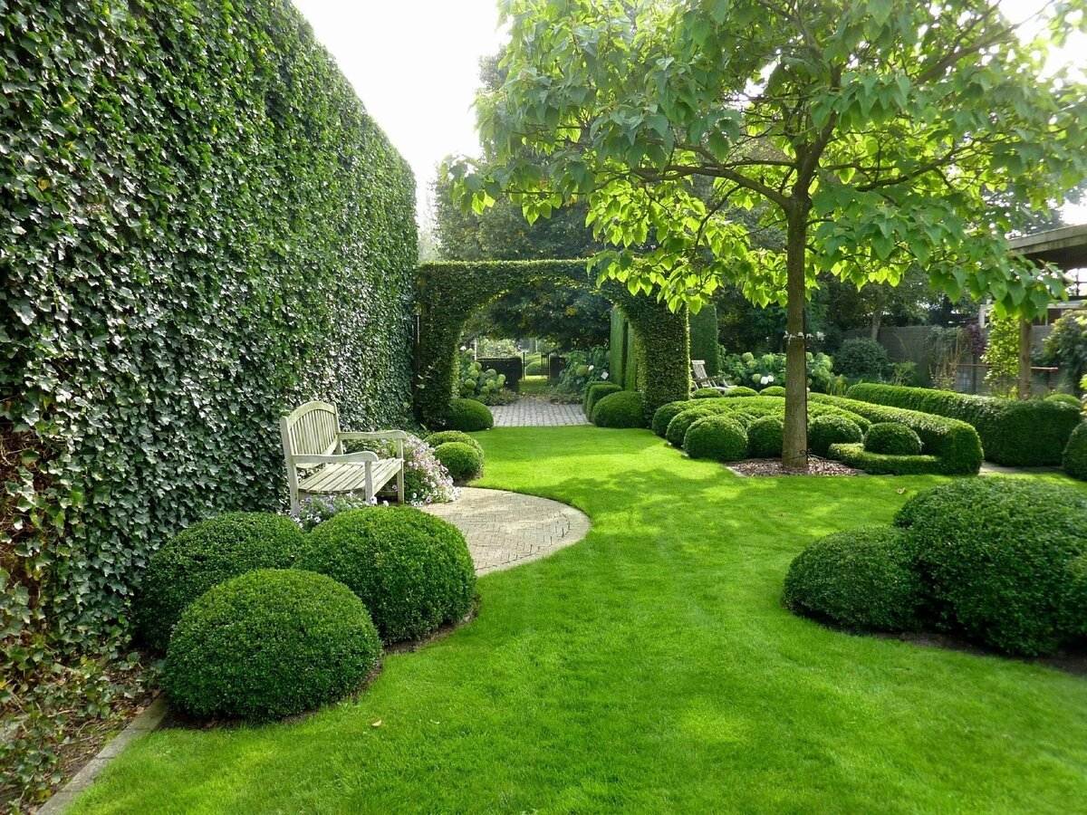 Сады Италии самшит