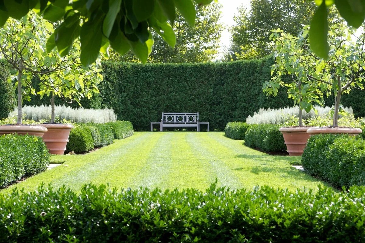 Партер и живой изгороди
