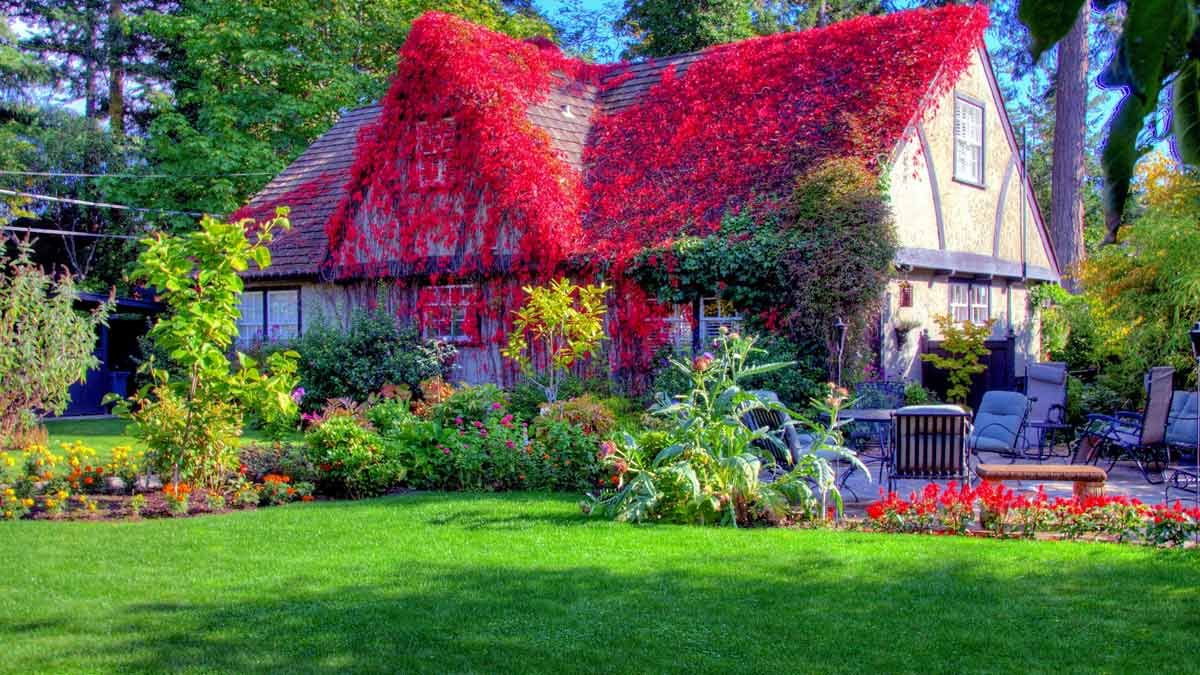 Красивая дача