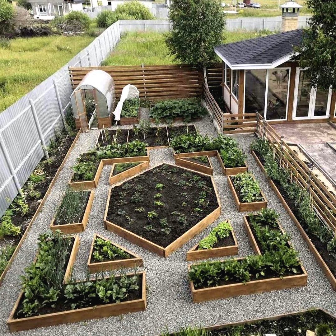 Красивый огород