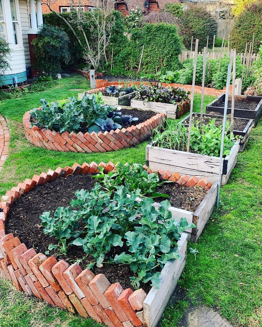 Интересные грядки на даче