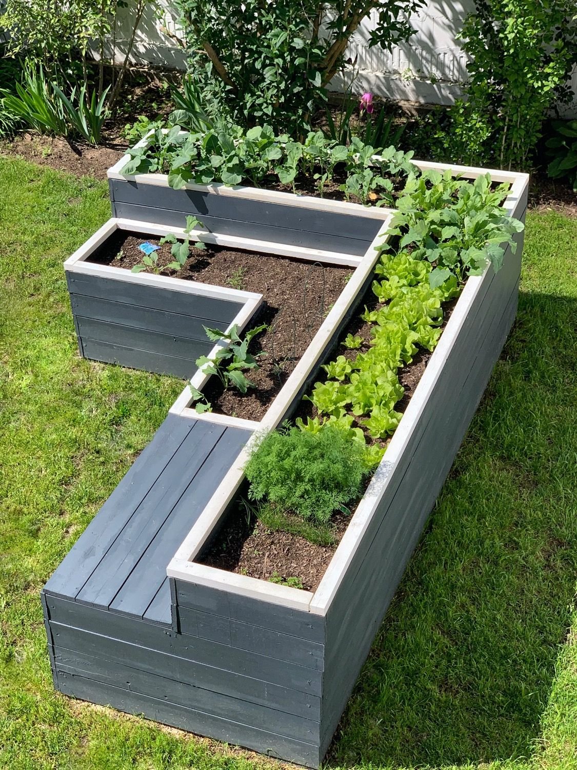 Высокие грядки