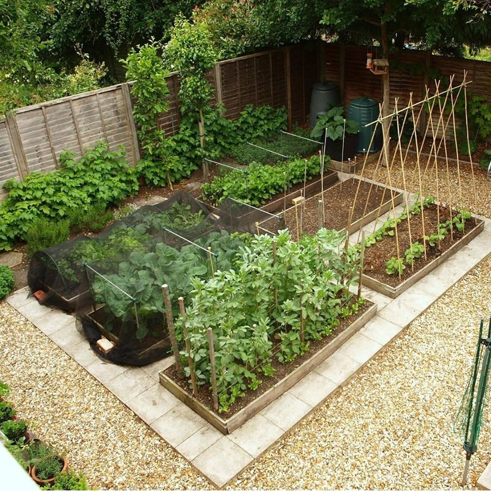 Декоративный огород