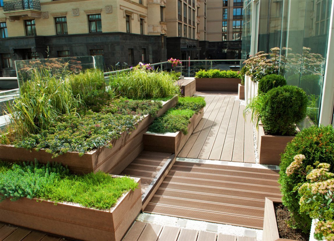 Декоративный огород