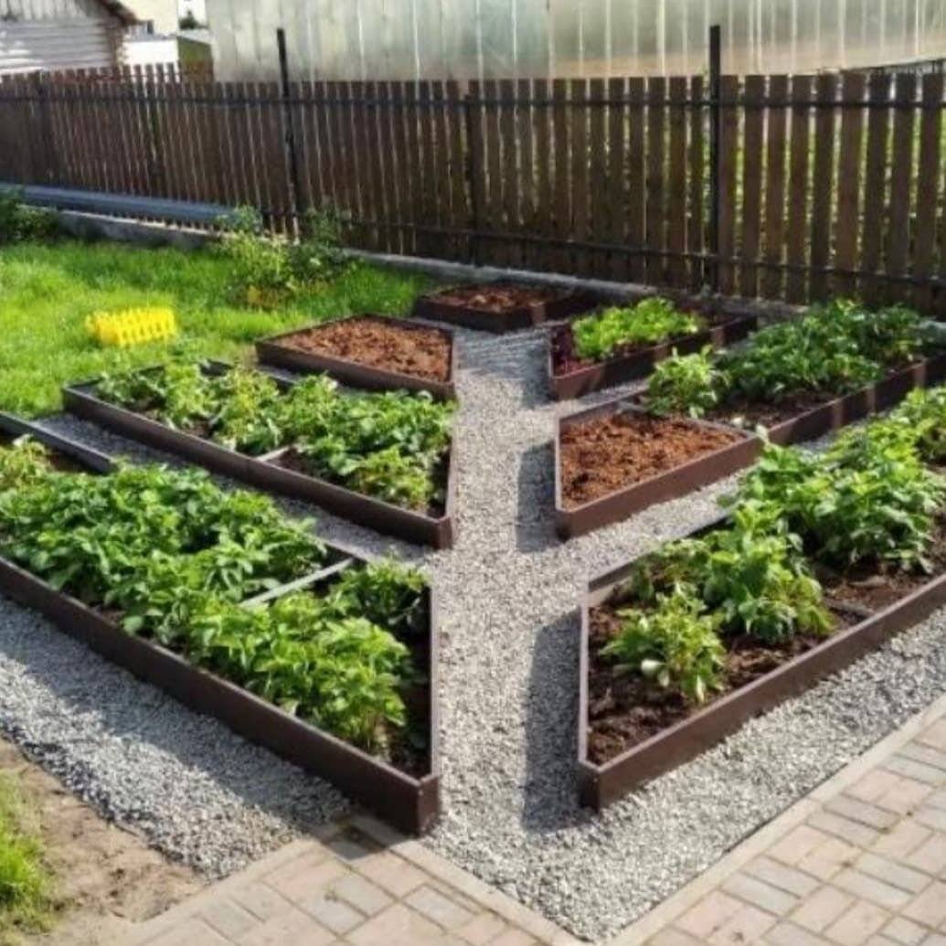 Французский огород Зоя Козичева