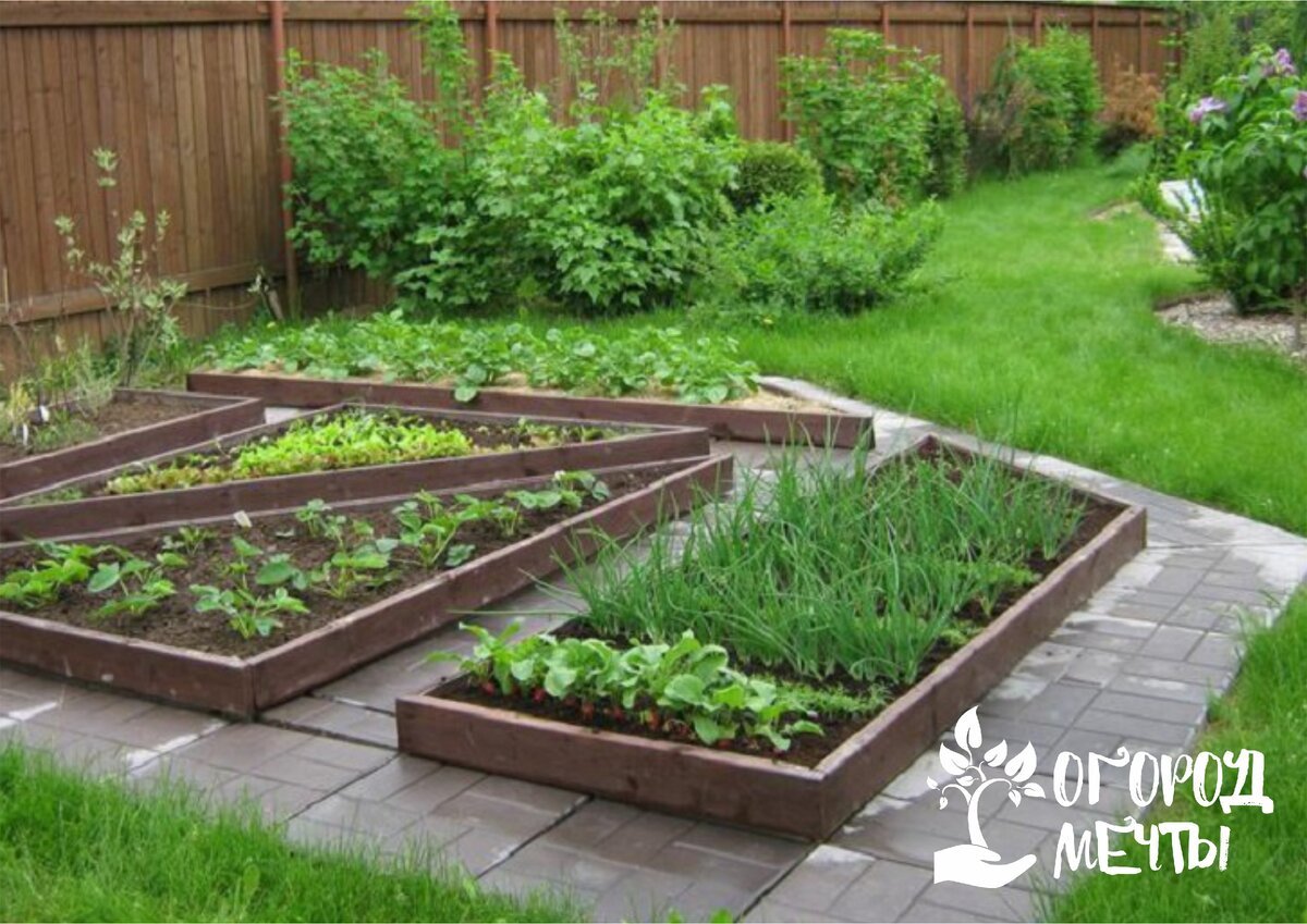 Сад и огород для ленивых