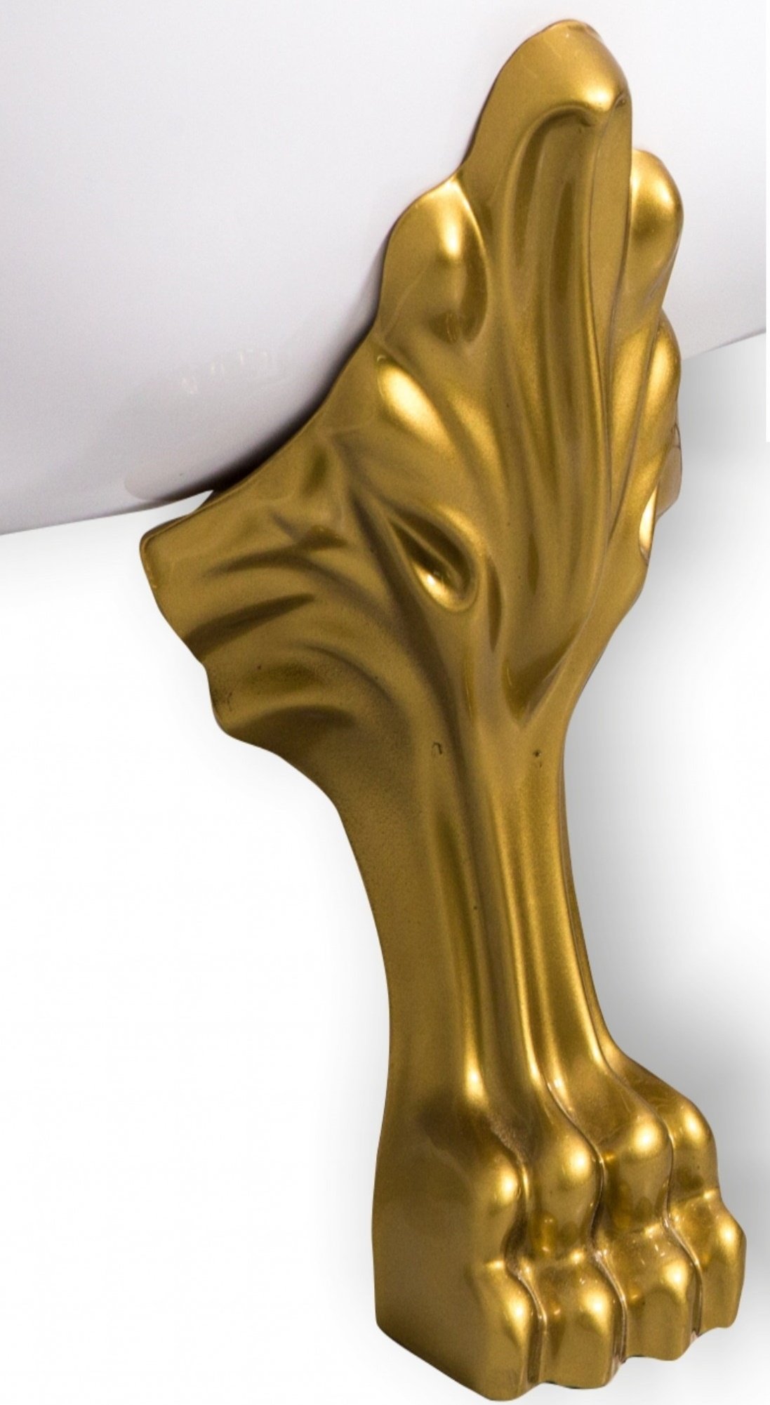 Накладки львиные лапы