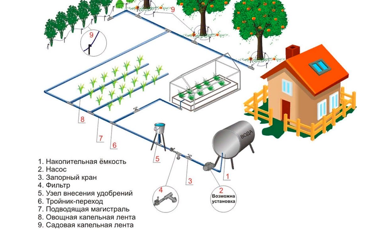 Капельный полив схема монтажа