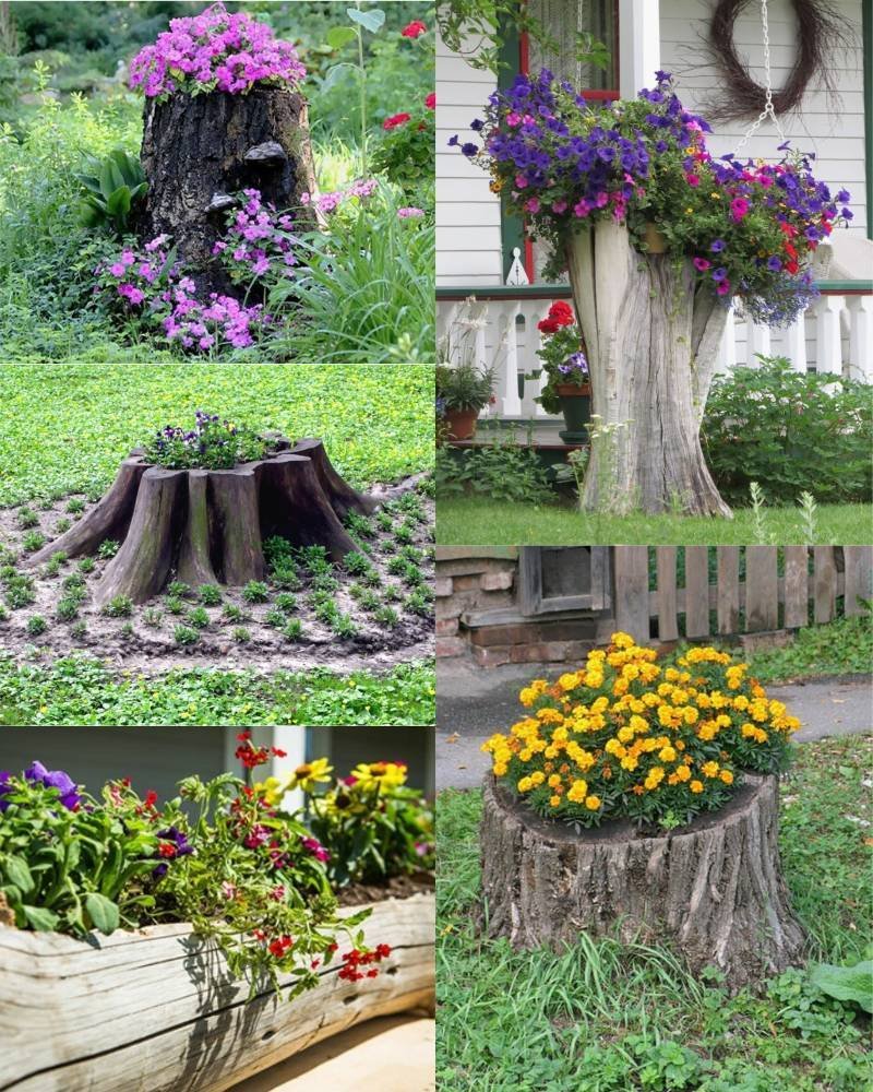 Клумбы на даче