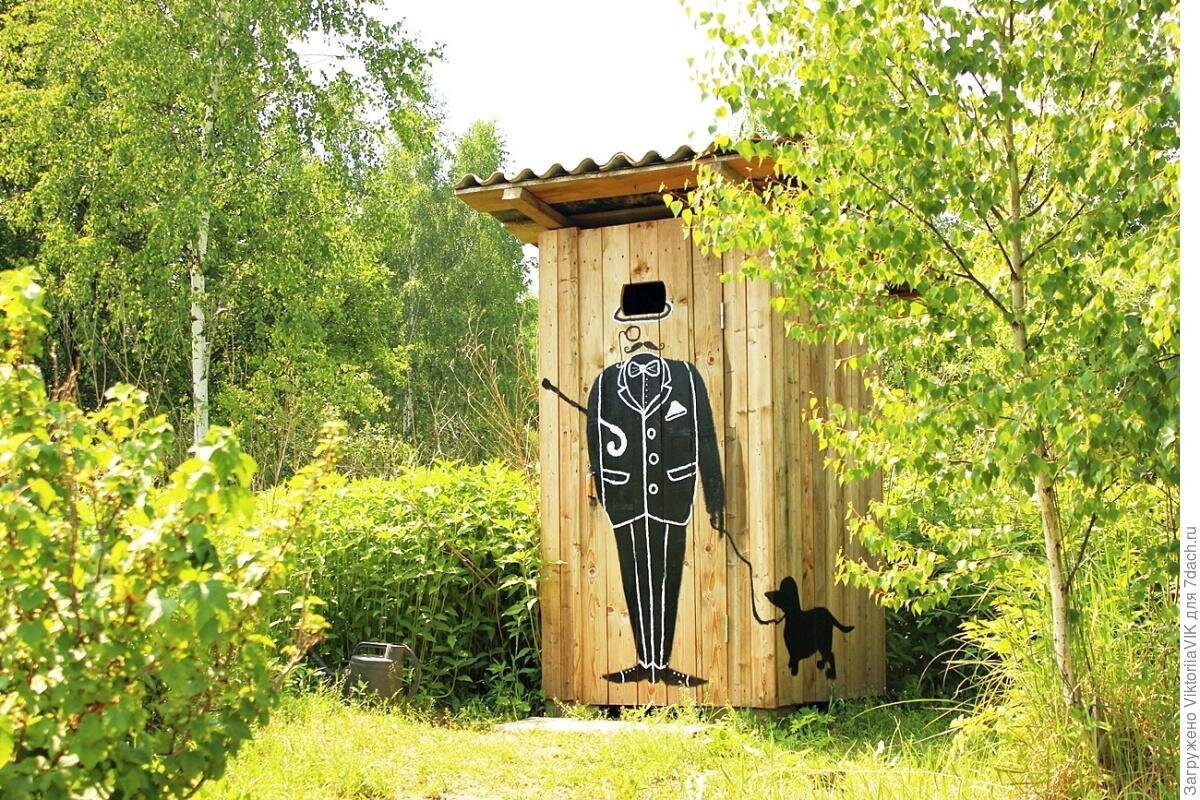 Креативный туалет на даче