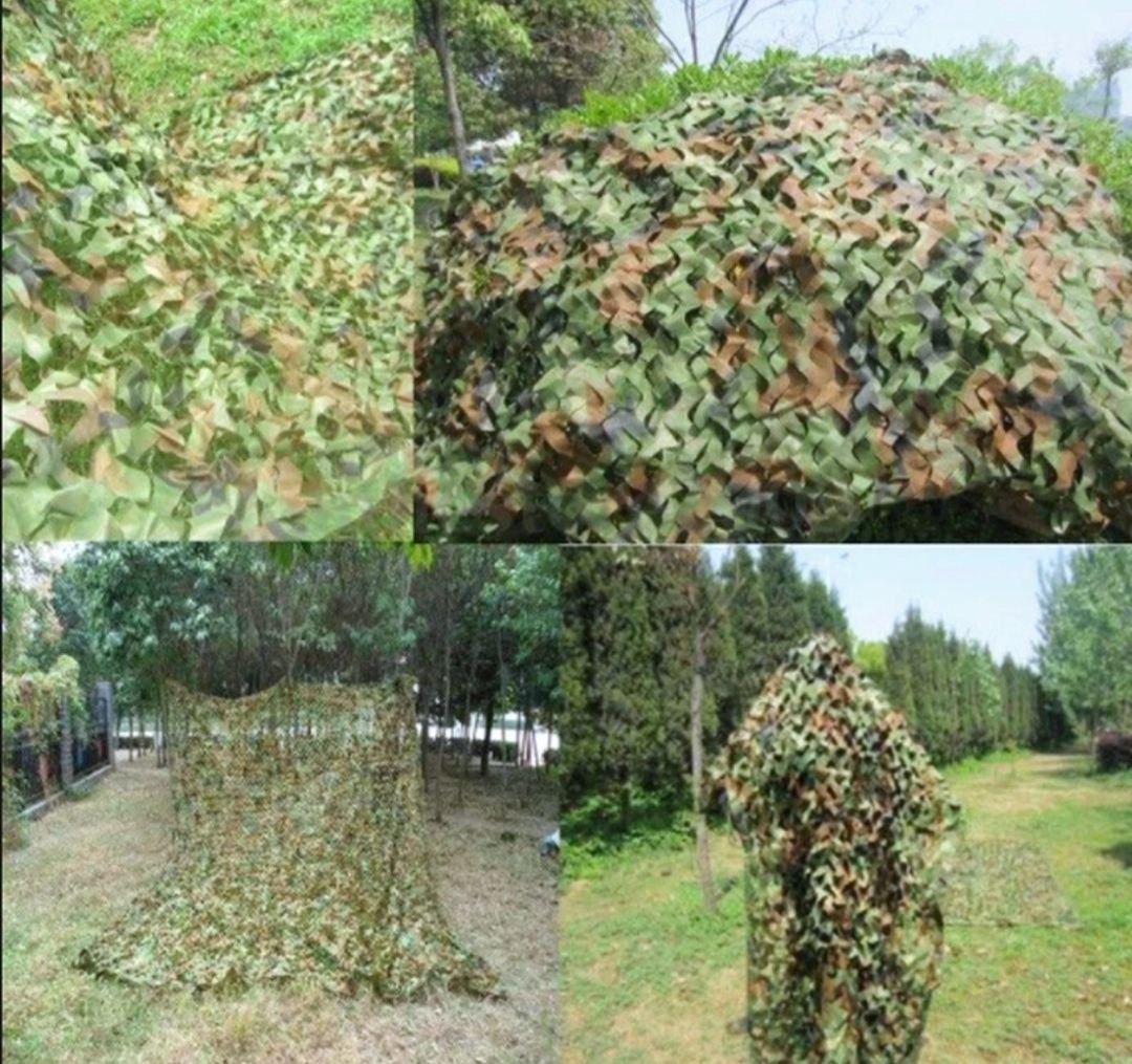 Массеть Лесной массив