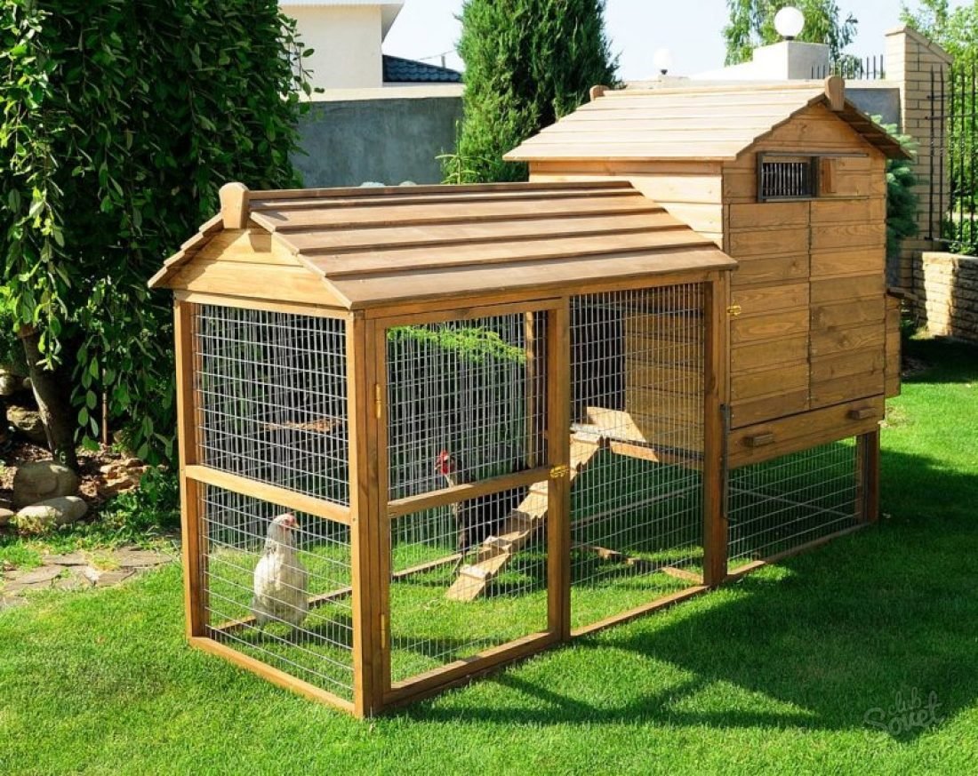 Курятник на 50 кур