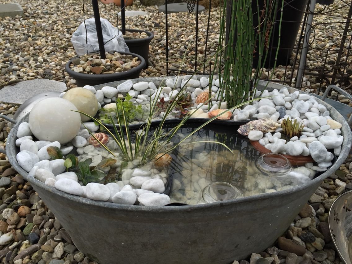 Маленький прудик из тазика