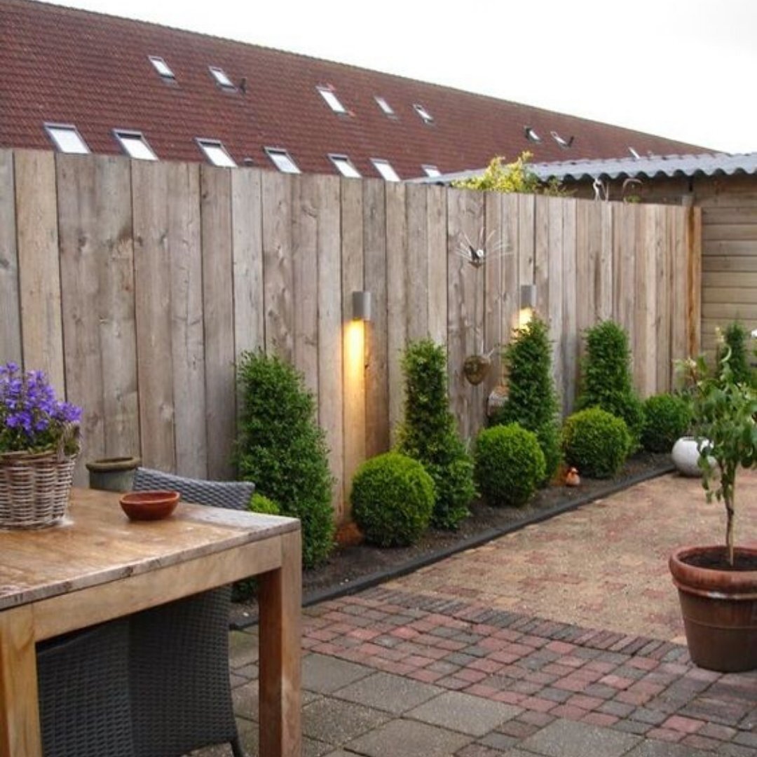 Деревья вдоль забора на даче