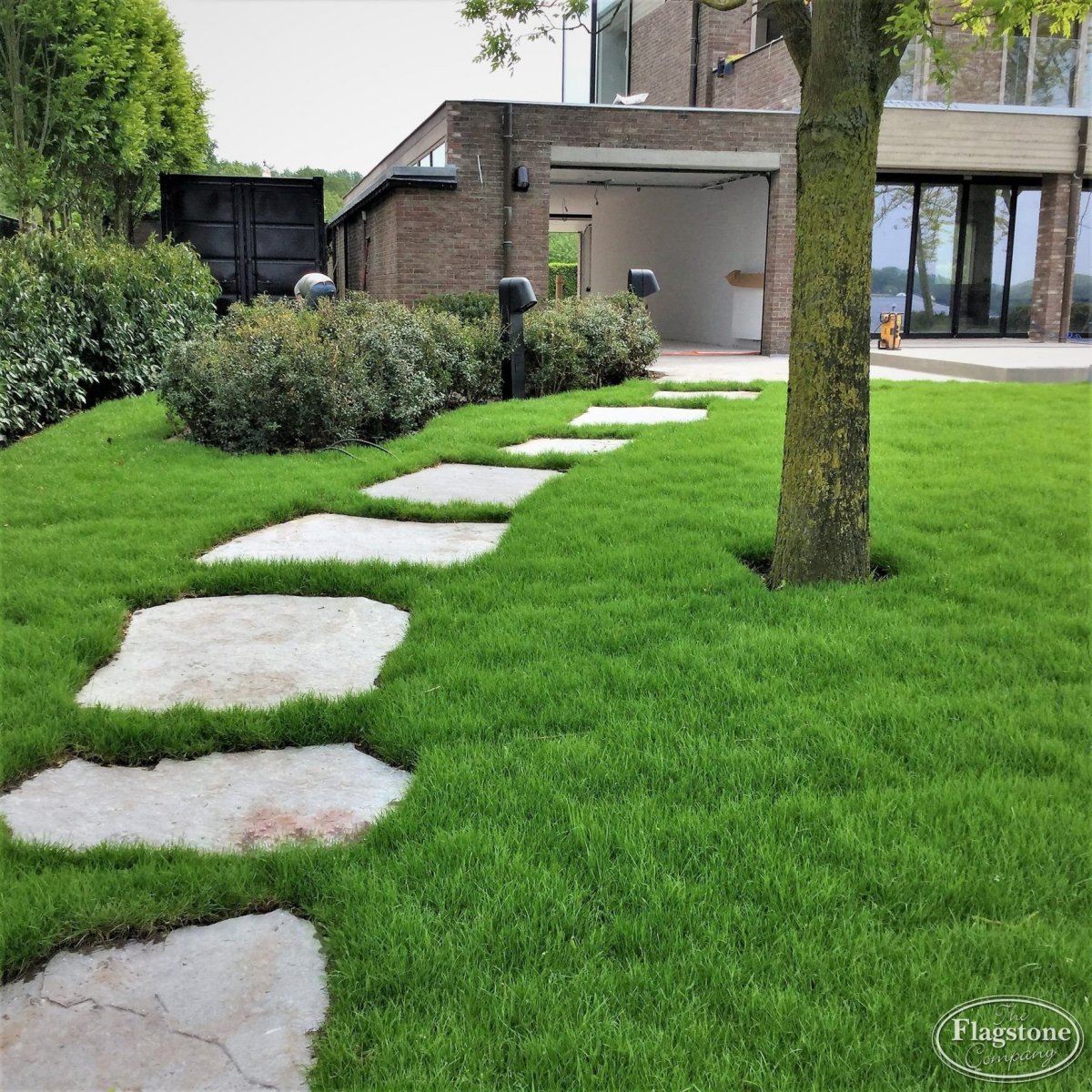 Газон во дворе