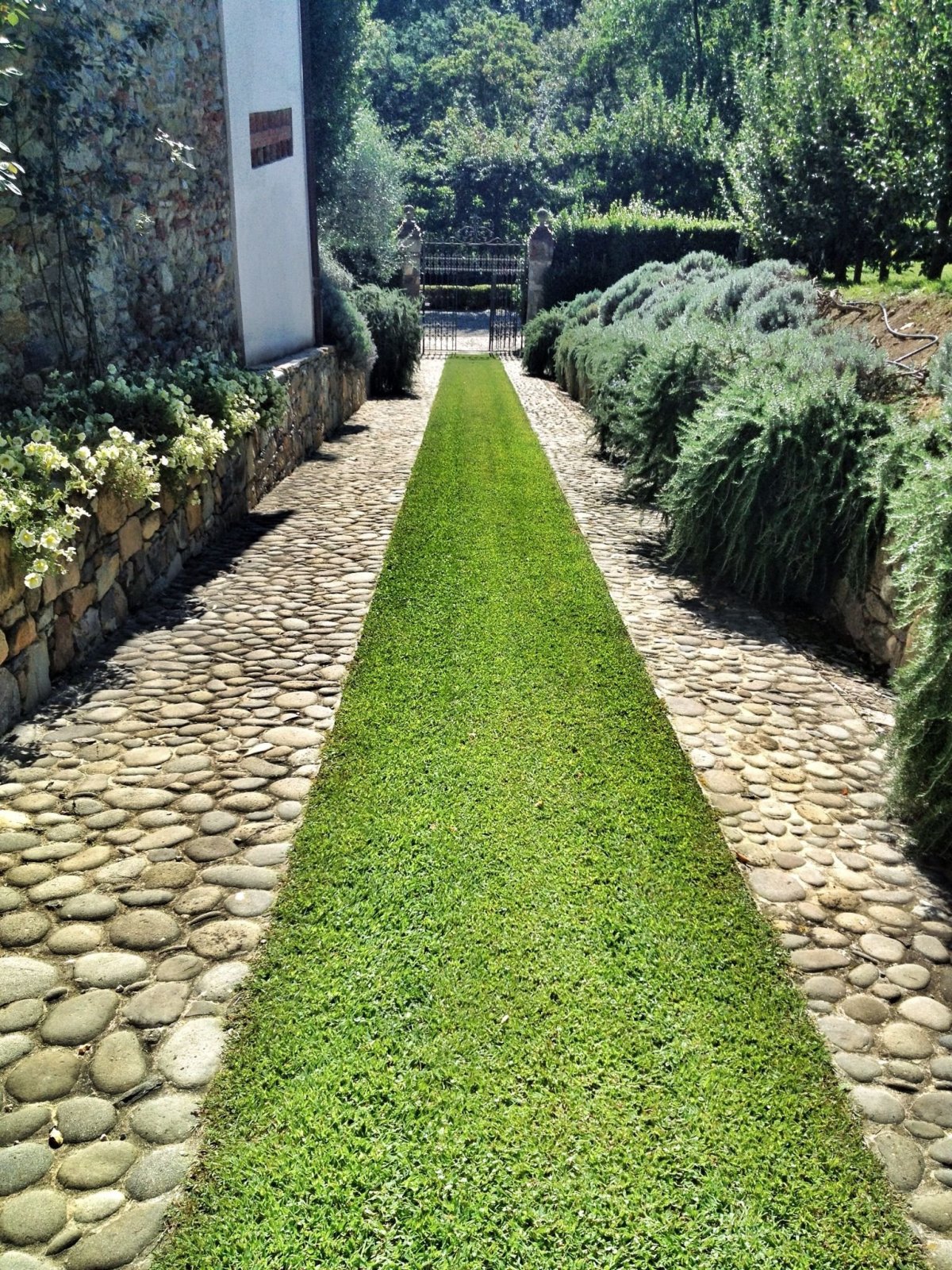 Ландшафт дорожки