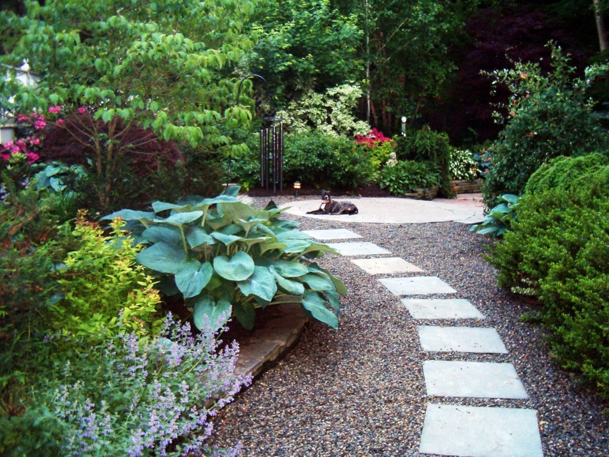 Растения вдоль дорожек